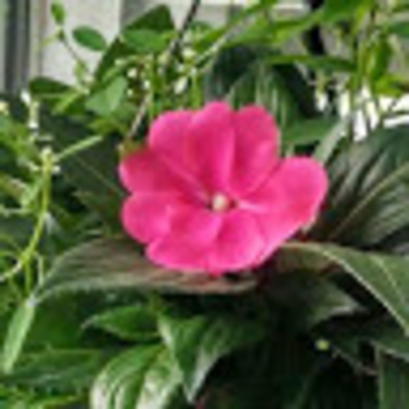 Meet your Posher, A - Picture 1 of 1